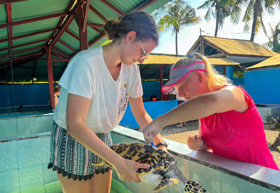 Turtle Conservation: Bali